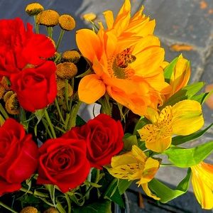 Meet your Posher, Shauna